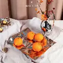 Georg Jensen Nordic simple fruit plate creative tray ornaments high-end wedding gift