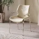 2024 Italian minimalist light luxury stainless steel primary color lion face stainless steel armrest lion head lion lion king chair dining chair