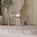 2024 Italian minimalist light luxury stainless steel primary color lion face stainless steel armrest lion head lion lion king chair dining chair