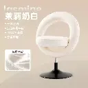 Livorno bago chair makeup chair 2024 new dressing table stool bedroom back dressing stool light luxury high-end