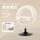 Livorno bago chair makeup chair 2024 new dressing table stool bedroom back dressing stool light luxury high-end